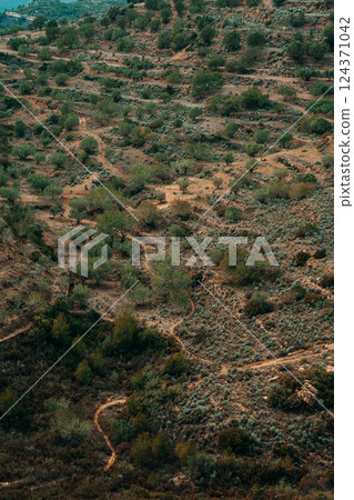 Aerial View of Rugged Terrain with Dense Vegetation 124371042