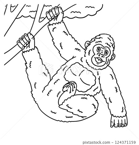 Gorilla Hanging from Branch Isolated Coloring Page Gorilla Hanging from Branch Isolated Coloring Page 124371159