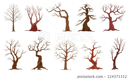 Cartoon naked trees. Old dead plants, scary forest elements, dry branches, spooky winter season wood without leaves, isolated elements, different shapes, decorative qualitative vector set 124371312