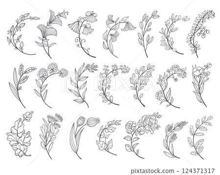 Curved floral branches. Decorative elements fore poster, banner and card, botanical design, blooming twigs with leaves and flowers, linear plants, hand drawn line isolated splendid vector set Curved floral branches. Decorative elements fore poster, banner and card, botanical design, blooming twigs with leaves and flowers, linear plants, hand drawn line isolated splendid vector set 124371317