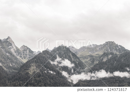 Mountain landscape mountains green fields forest clouds in Vorarlberg Austria. 124371817