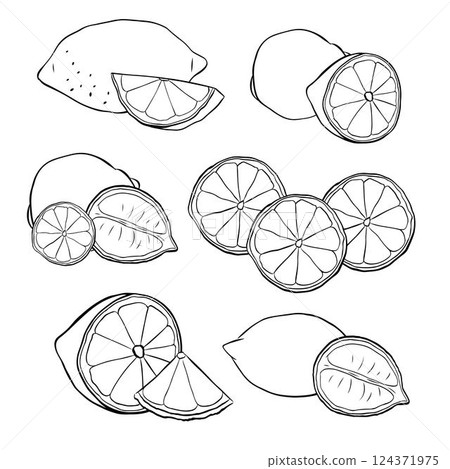 Lemons composition black and white graphic line ink set. Vector illustration isolated on transparent background. for menu and package designs. 124371975