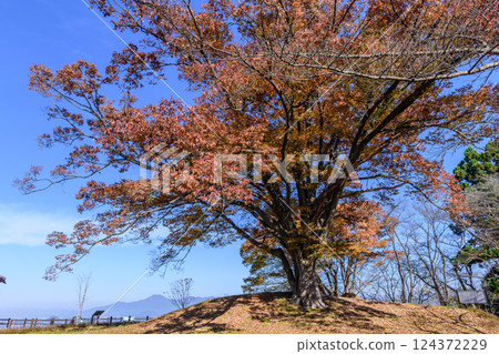 將棋之鄉天童的景色 124372229