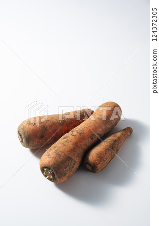 Carrots with mud 124372305