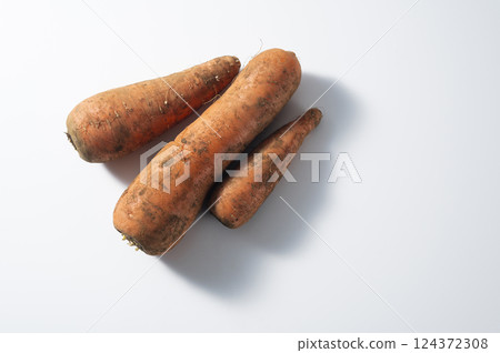 Carrots with mud 124372308