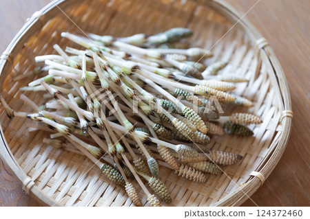 採收馬尾草 124372460