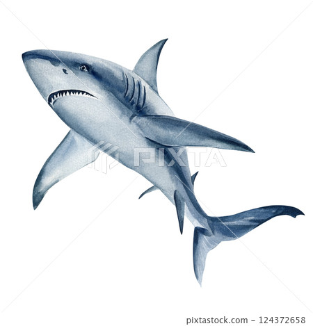 Watercolor illustration of an aggressive blue shark with sharp teeth and streamlined body isolated on white background 124372658
