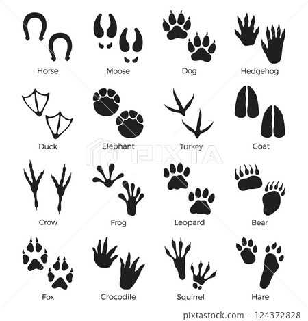Black animals footprints. Paws prints silhouettes, reptiles, birds and mammals, wild life steps, horse, elephant and bear, stickers collection, isolated elements with text, nowaday vector set 124372828