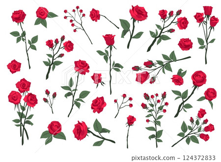 Cartoon burgundy roses. Red blooming scarlet flowers, romantic floral symbol, valentine day gift, green leaves, buds and thorns, garden bouquet, decorative botany, tidy vector isolated set Cartoon burgundy roses. Red blooming scarlet flowers, romantic floral symbol, valentine day gift, green leaves, buds and thorns, garden bouquet, decorative botany, tidy vector isolated set 124372833