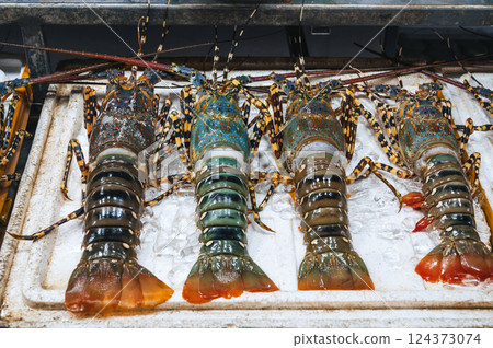 live fresh lobsters on the counter at Asian night market in Vietnam in Asia live fresh lobsters on the counter at Asian night market in Vietnam in Asia 124373074
