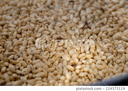Rice weevils and damaged rice 124373119