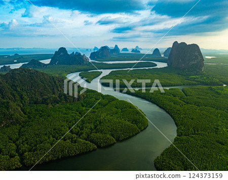 Aerial View of canals winding in the mangroves create a heart-shaped island. 124373159