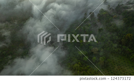 There is a sea of fog flowing down the ravine, resembling a waterfall. 124373172