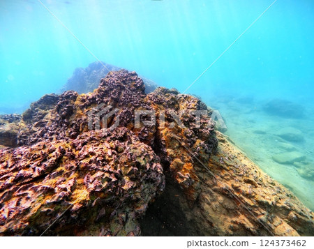 Gorilla Chop's Coral Reef, Sakimotobu, Okinawa Prefecture Gorilla Chop's Coral Reef, Sakimotobu, Okinawa Prefecture 124373462