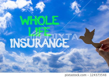 Whole life insurance symbol. Concept words Whole life insurance on beautiful blue sky. Beautiful blue sky and clouds background. Businessman hand. Business whole life insurance concept. Copy space. 124373548