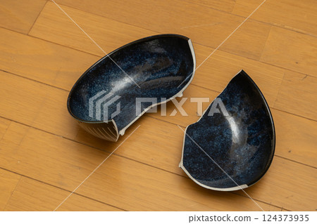 A plate that fell to the floor and broke in two 124373935