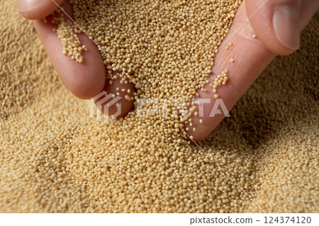 Hands pouring organic amaranth grains close-up. 124374120