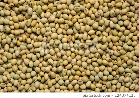 Organic raw soybeans close-up, vegan superfood, top view Organic raw soybeans close-up, vegan superfood, top view 124374123