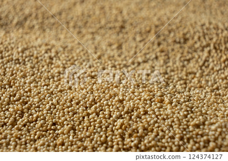 Uncooked Amaranth Seeds. Healthy Gluten-Free Grain Macro 124374127