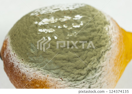 Old Lemon with Green Mold. Rotten Food Macro Old Lemon with Green Mold. Rotten Food Macro 124374135