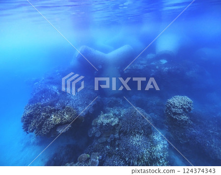 Gorilla Chop's Coral Reef and Tetrapods, Sakimotobu, Okinawa Prefecture Gorilla Chop's Coral Reef and Tetrapods, Sakimotobu, Okinawa Prefecture 124374343