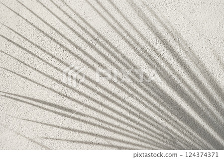 Shadow of palm leaf on white textured background. Mock up of natural overlay lighting shadows leaves. Wall. Template. 124374371