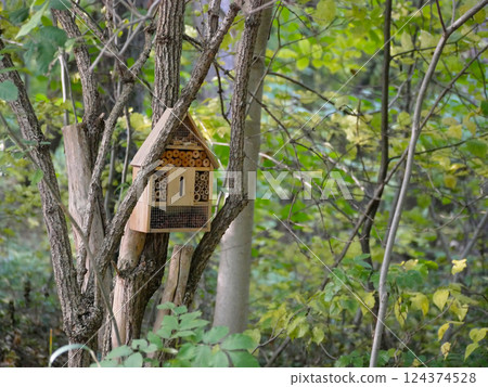 An insect hotel, bug house, created to protect insects and provide them a shelter. Vienna, Potzleinsdorfer Schlosspark 124374528