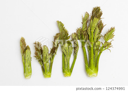 春天的味道:芋頭的庫存照片 春天的味道:芋頭的庫存照片 124374991