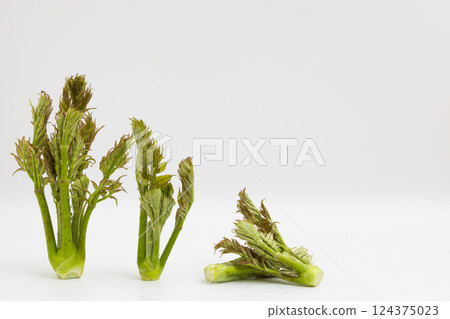 春天的味道：芋頭的庫存照片 124375023
