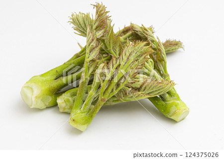 春天的味道:芋頭的庫存照片 春天的味道:芋頭的庫存照片 124375026