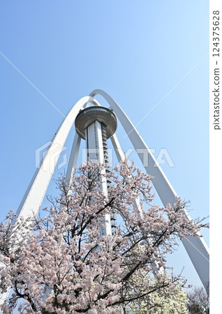 Twin Arch 138 and red plum blossoms Twin Arch 138 and red plum blossoms 124375628