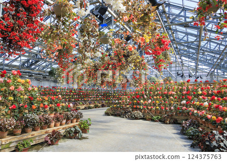 長野村海棠花園 124375763