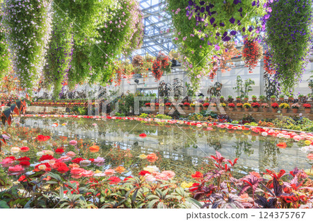 長野村海棠花園 長野村海棠花園 124375767