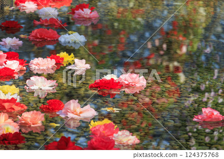 Naganoana Village Begonia Garden 124375768