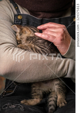 A small kitten hid in the man's arms. The concept of trust, love and care 124375813