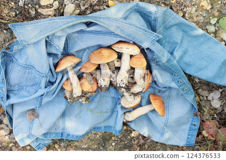 Forest mushrooms collected in a denim jacket during the autumn season. 124376533