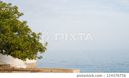 Tranquil coastal view with tree and ocean under clear sky Tranquil coastal view with tree and ocean under clear sky 124376756