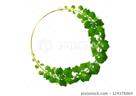 vine frame leaf vine circle Isolate on transparent background PNG file vine frame leaf vine circle Isolate on transparent background PNG file 124376864