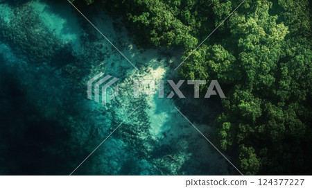 Aerial view of a lush green coastline. The amazing colors of the water create a breathtaking scenery. Nature thrives in beautiful harmony. Generative AI 124377227