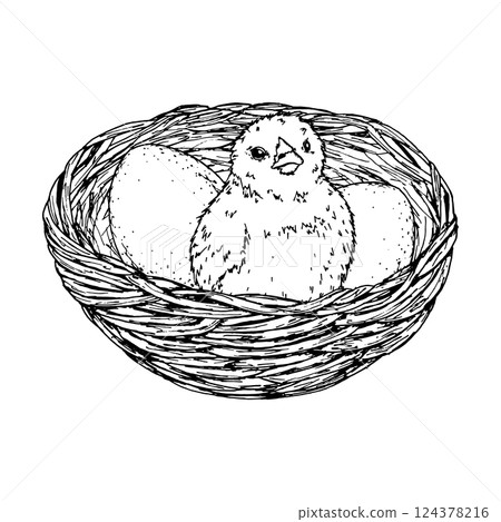 Hand drawn illustration of a fluffy chick sitting in a nest with eggs. Black and white sketch for Easter, spring holiday themes, farm life, packaging, children s books and greeting cards. 124378216
