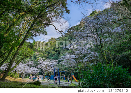 慈源寺公園的櫻花 124379240
