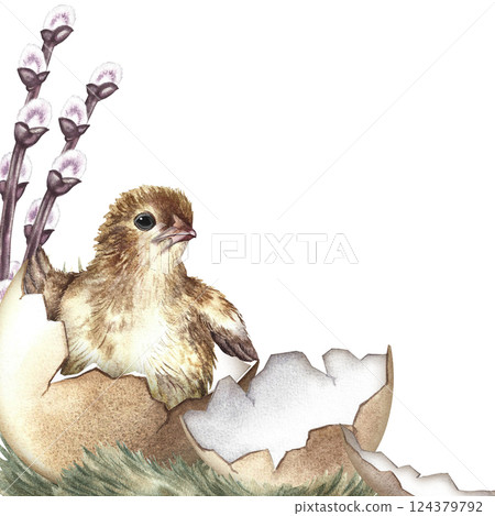 Easter frame with cute hatched chicken and willow twigs. A hand-drawn watercolor illustration. Highlight it. For the design of greeting cards and invitations for Easter, packaging, labels and banners. Easter frame with cute hatched chicken and willow twigs. A hand-drawn watercolor illustration. Highlight it. For the design of greeting cards and invitations for Easter, packaging, labels and banners. 124379792