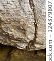 Fossilized snail shell embedded in ancient rock formation showcasing geological history and natural beauty concept 124379807