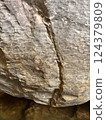 Textured rock surface with natural patterns showcasing geological features and formations nature concept 124379809