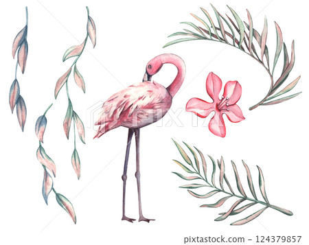 Set isolated of pink flamingo, pink flowers and palm leaves. Watercolor illustration of Tropical leaves and bird. Images wildlife-themed for designs invitation and card in a tropical style, package Set isolated of pink flamingo, pink flowers and palm leaves. Watercolor illustration of Tropical leaves and bird. Images wildlife-themed for designs invitation and card in a tropical style, package 124379857