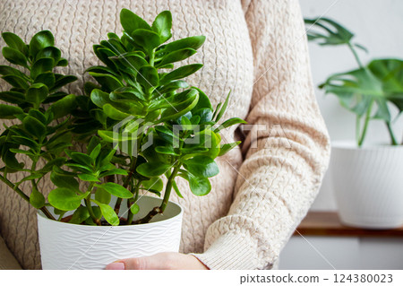Woman in light sweater holds pot of green houseplant in her hands. Sustainable lifestyle concept. 124380023