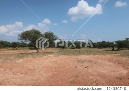 動物 犀牛 野生動物 124380748