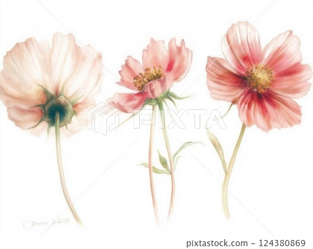 Delicate watercolor illustration of blooming flowers in soft pastel colors 124380869