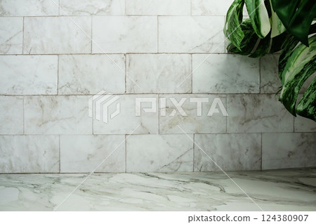 green leave monstera and space copy on marble background green leave monstera and space copy on marble background 124380907