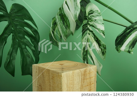 Wooden podium display scene stage showcase front view with copy space and monstera leaves decoration on green background 124380930